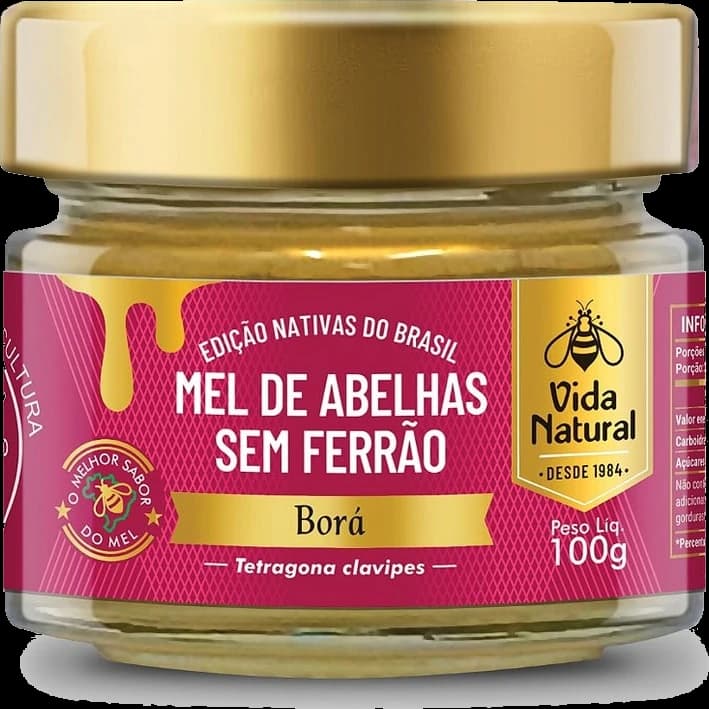 Mel de Abelhas sem Ferrão | Borá - 100g