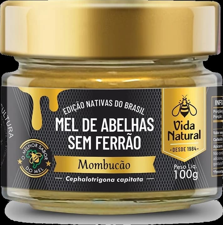 Mel de Abelhas sem Ferrão | Mombucão - 100g