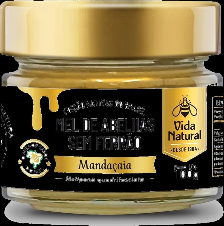 Mel de Abelhas sem Ferrão | Mandaçaia - 100g